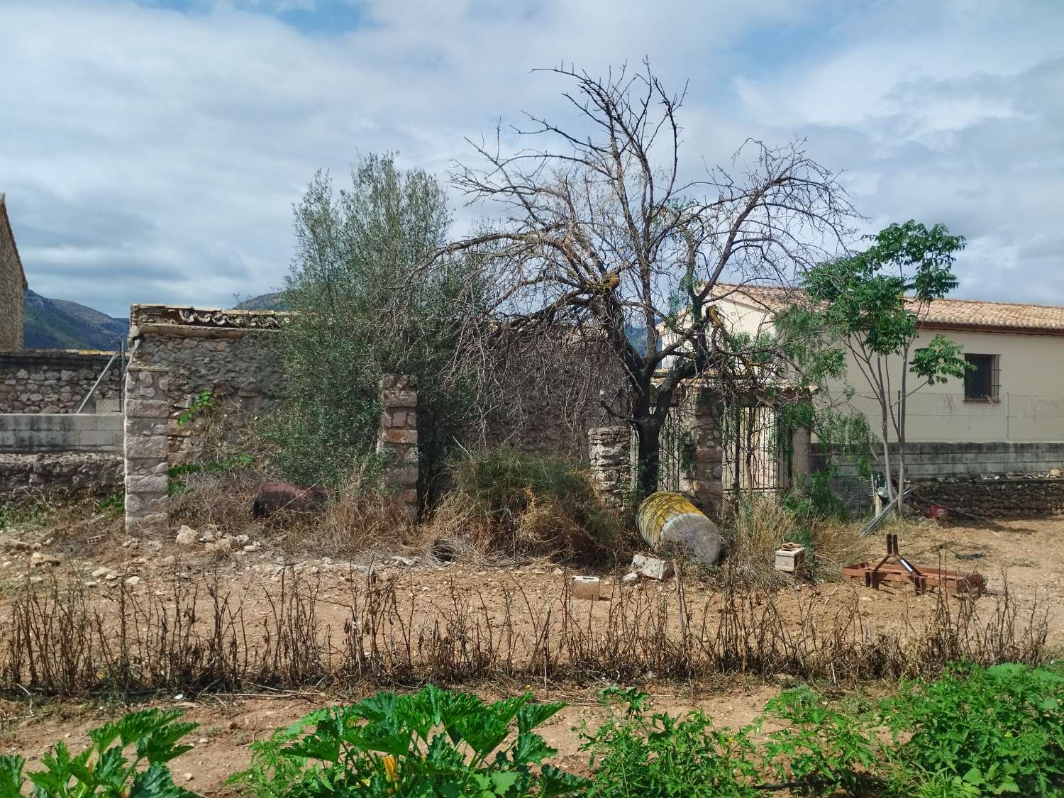 Maison de ville avec terrain de 1 000 MTRS