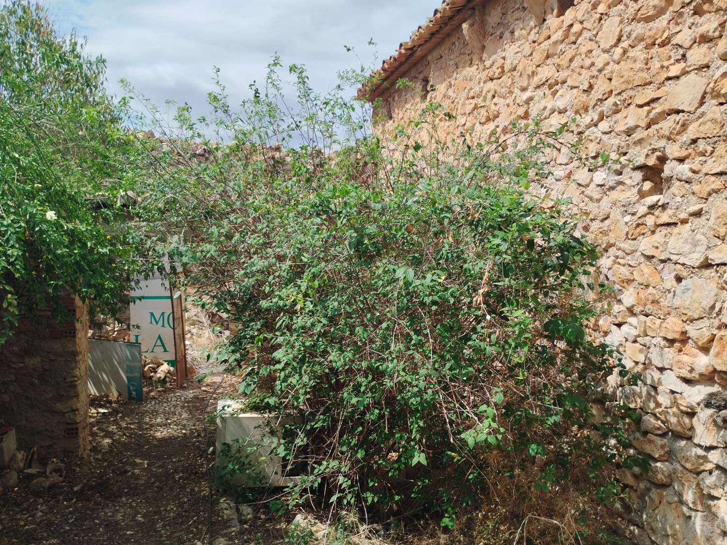 Maison de ville avec terrain de 1 000 MTRS