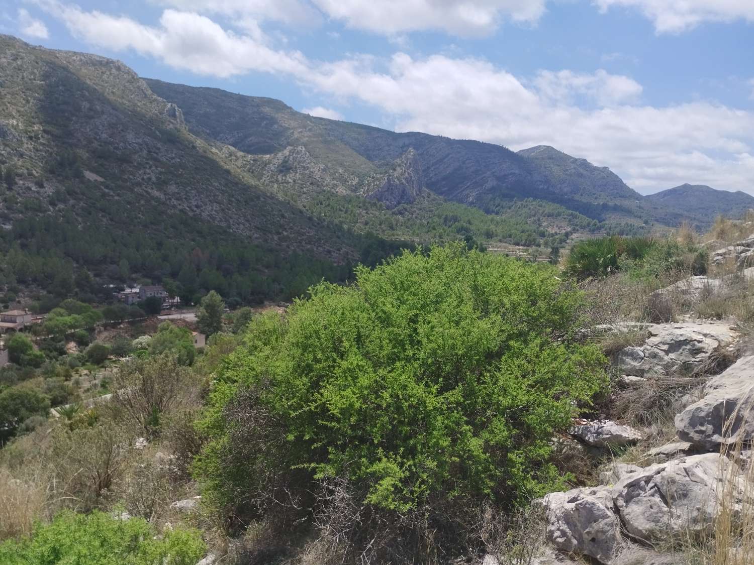 Plot for sale in Pedreguer