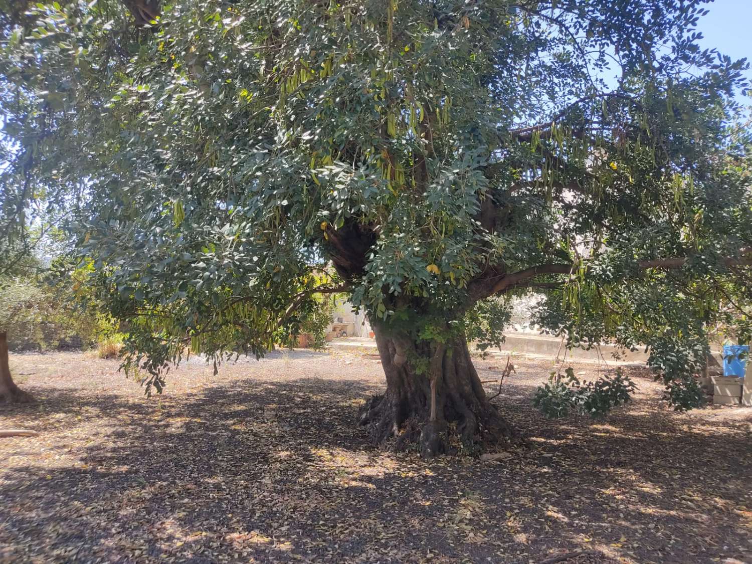 Maison en vente à Tormos