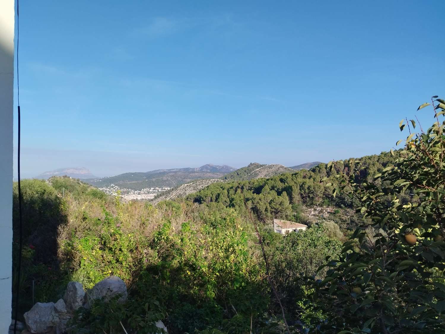 Deux maisons avec 3 000 MTRS de terrain urbain