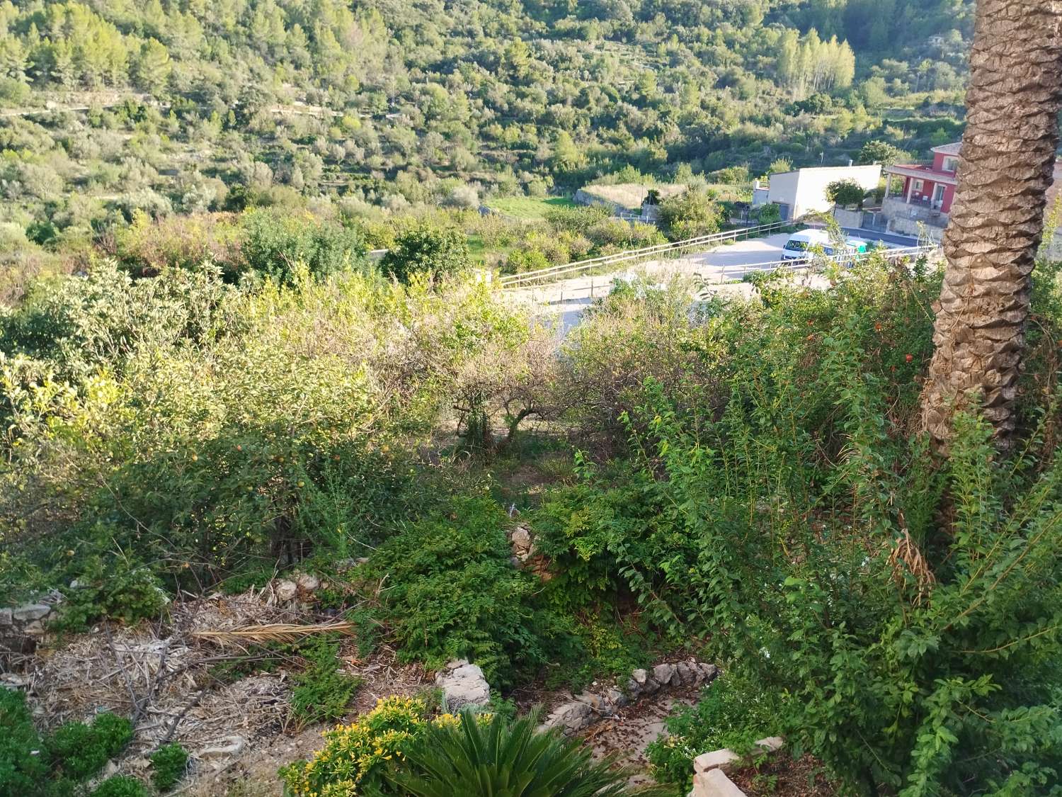 Deux maisons avec 3 000 MTRS de terrain urbain