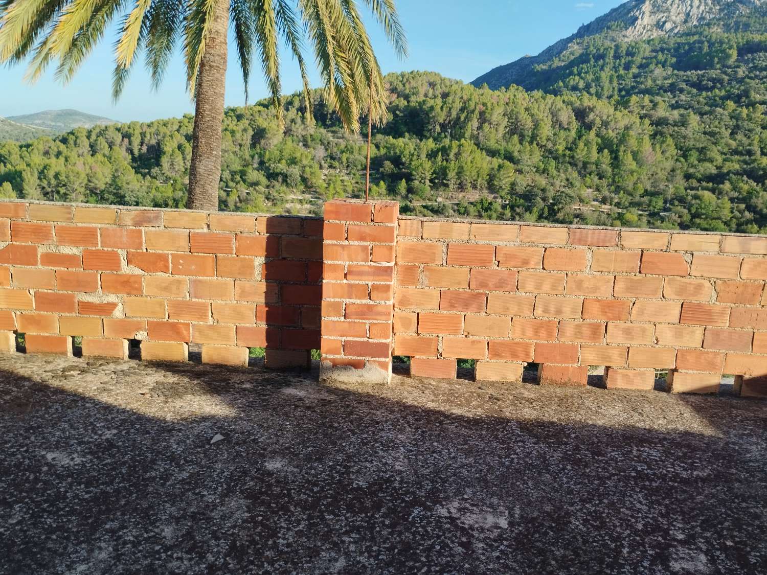 Deux maisons avec 3 000 MTRS de terrain urbain