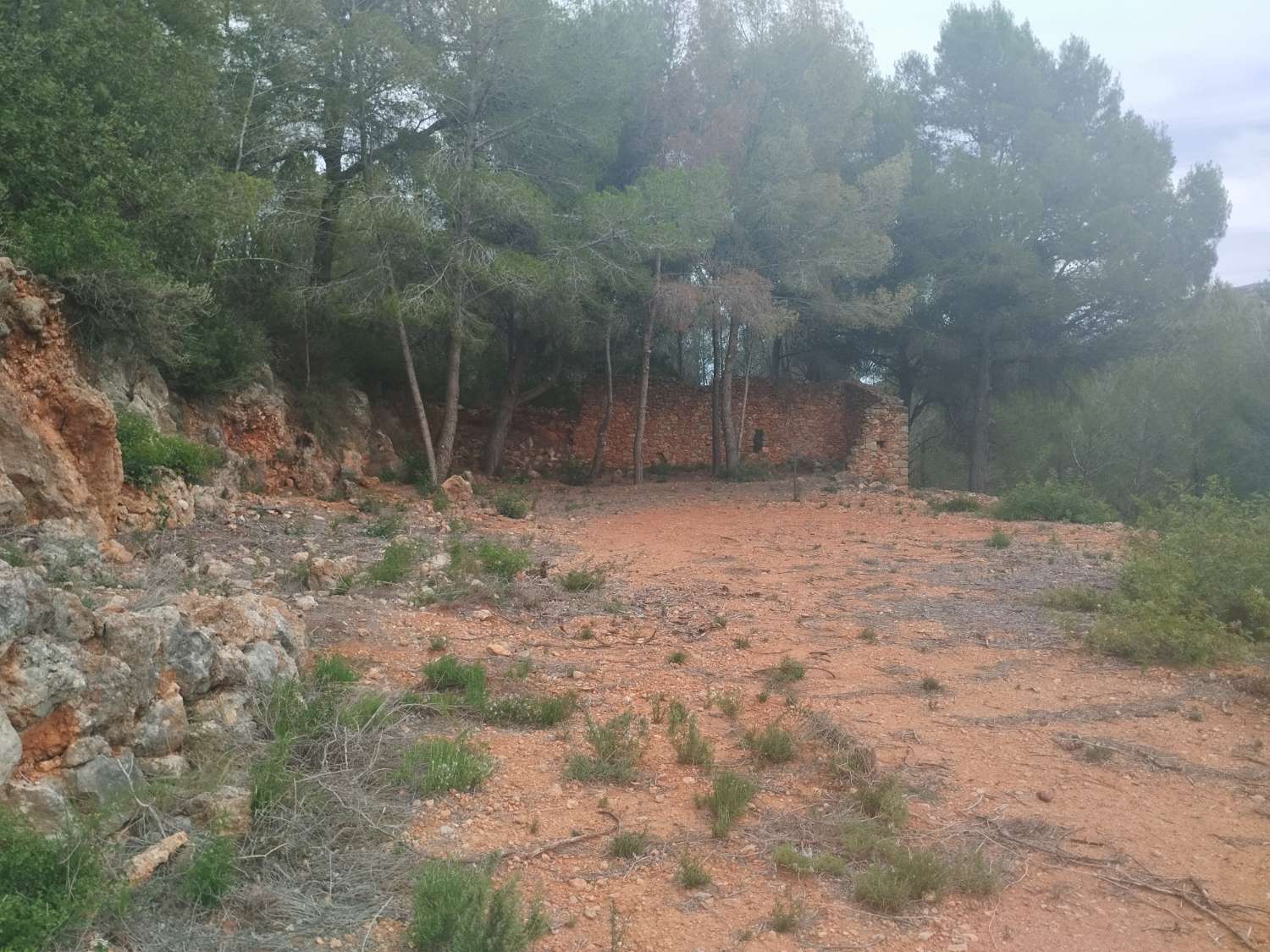 Terrain rustique à 8 000 mètres avec ruine