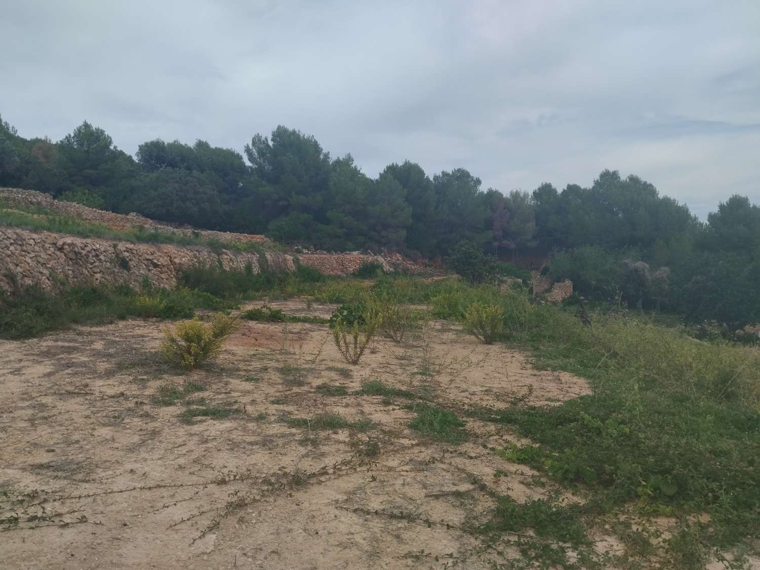 Terrain rustique à 8 000 mètres avec ruine