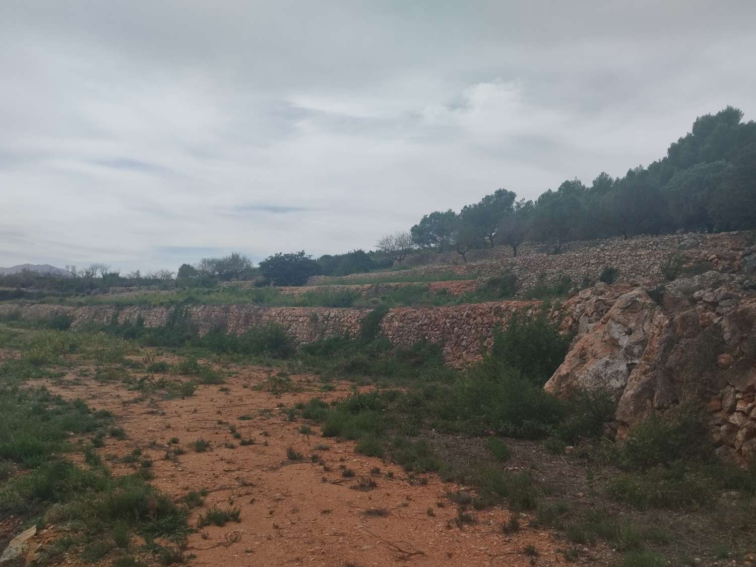 Terrain rustique à 8 000 mètres avec ruine