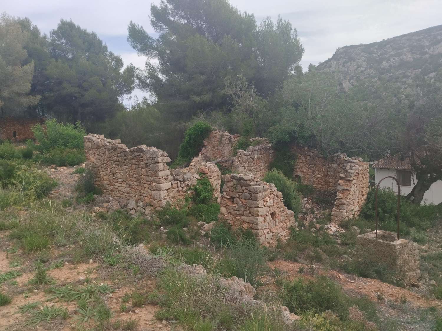 Terrain rustique à 8 000 mètres avec ruine