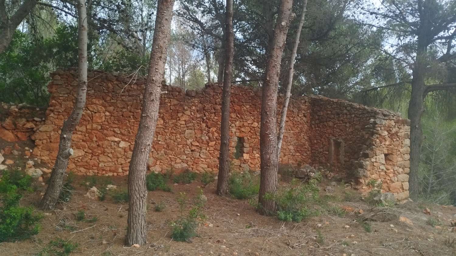 Terrain rustique à 8 000 mètres avec ruine