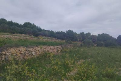 Terrain rustique à 8 000 mètres avec ruine